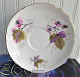 Shelley Bramble Cup And Saucer Briar Rose Lincoln 1963-1966 Pink Lavender Grey