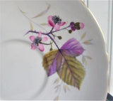 Shelley Bramble Cup And Saucer Briar Rose Lincoln 1963-1966 Pink Lavender Grey