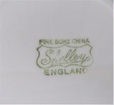 Shelley Bramble Cup And Saucer Briar Rose Lincoln 1963-1966 Pink Lavender Grey