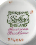 Shelley Dainty American Brooklime Snack Set Cup Saucer Fitted Plate Snack Buffet
