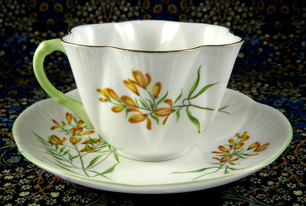 Shelley Golden Broom Dainty Cup and Saucer 1964 To 1966 – Antiques