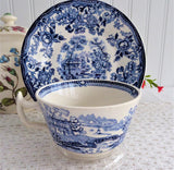 Tonquin Blue Transferware Cup And Saucer 1960s Ironstone Royal Staffordshire Clarice Cliff