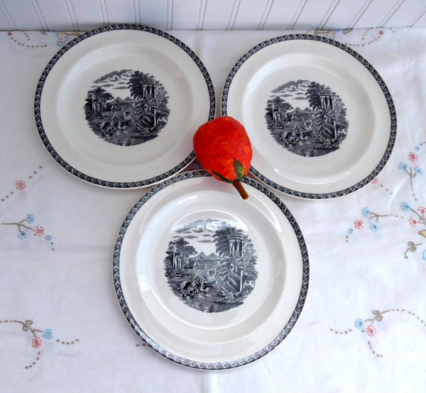 1960s-Wedgwood-Lugano-3-plates 