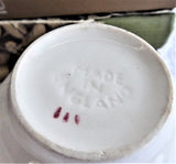 His Majesty Turkey Cup And Saucer Johnson Brothers 1960s Fruit Nuts Made In England