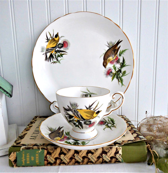 新品70年代英国ロイヤルオズボーン生きているように美しい瞳で兄弟が寄添うブタ陶器 Goldfinch Audubon Birds Teacup Trio Royal Tuscan 1970s Bird Lovers