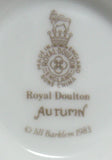 Brambly Hedge Autumn Cup And Saucer Royal Doulton 1983 Original Box Jill Barklem