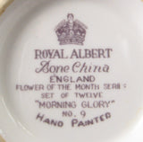 Royal Albert September Morning Glory Cup And Saucer Flower Of The Month 1940s - Antiques And Teacups - 5