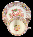 Antique Cup And Saucer Early Regout Dutch Polychrome Transferware 1860s