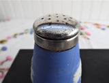 Victorian Blue Jasperware Condiment Cruet Set 1880s Adams Dudson Blue Dip
