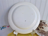 Wedgwood Edinburg Aesthetic Plate 1882 Brown Transferware Birds Flowers Castle