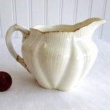 Shelley Wileman Dainty Creamer Crested Arms Of Wales Dragons Jug 1890s