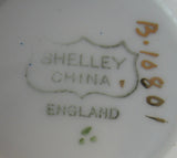 Shelley England Cup Saucer And Plate Roses Stripes 1915 Rare Milton Shape