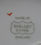 Shelley Hat Pin Holder Antique 1920s Vanity Crested China Souvenir Teignmouth
