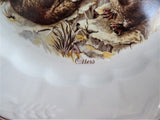 Otters Plate Luncheon White Wheat Embossed Ironstone England 1940s Weatherby