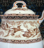 Shelley  Teapot Storks Herons Yellow Brown Gainsborough Shape Birds 1940s