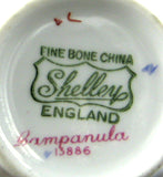Shelley Ludlow Campanula Cup and Saucer England Vintage Lavender Trim