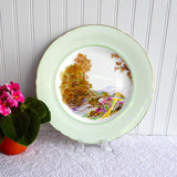Shelley Dinner Plate Heather Green Bone China Charger England 1950s Cabinet