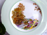 Shelley Dinner Plate Heather Green Bone China Charger England 1950s Cabinet
