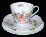 Shelley Wild Flowers Trio Teacup Saucer Plate Richmond Shape 1950s Blue Trim