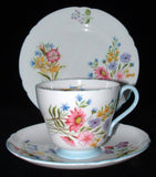 Shelley Wild Flowers Trio Teacup Saucer Plate Richmond Shape 1950s Blue Trim
