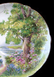 Shelley Woodland Cup and Saucer Cambridge Shape Landscape Teacup 1950s