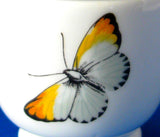 Egg Coddler Royal Worcester Strawberry Fair Single 1950s Strawberries Blossoms
