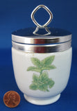 Egg Coddler Herbs & Spices 1960s King Size Double Shafford Japan Chives