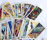 Tea Card Set Tropical Birds Brooke Bond P G Tips 1974 Full Set Plus Duplicates