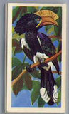 Tea Card Set Tropical Birds Brooke Bond P G Tips 1974 Full Set Plus Duplicates
