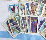 Tea Card Set Tropical Birds Brooke Bond P G Tips 1974 Full Set Plus Duplicates