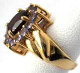 Cluster Ring Garnet 12 Tanzanites 10kt Gold 1970s Engagement January Birthstone 10k