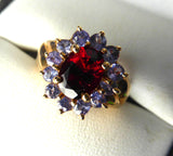 Cluster Ring Garnet 12 Tanzanites 10kt Gold 1970s Engagement January Birthstone 10k