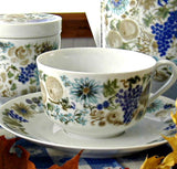 Retro Teacup Trio Nuts Arzberg Bavaria 1960s Mid Century Modern