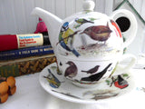 Garden Birds Tea For One Roy Kirkham Teapot Fitted Cup And Saucer Breakfast Cup Bone China