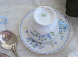 Shelley Blue Rock Cup And Saucer Henley Shape 1950s Scroll Border