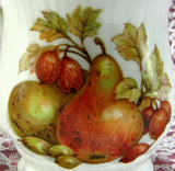 Fall Fruit And Nuts English Mug Bone China Mayfair England - Antiques And Teacups - 3