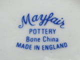 Fall Fruit And Nuts English Mug Bone China Mayfair England - Antiques And Teacups - 4
