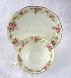 Cup And Saucer AynsleyEngland Rosebuds 1890-1894 Late Victorian Teacup - Antiques And Teacups - 4