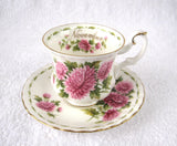 November Chrysanthemum Cup And Saucer Royal Albert Demi Flower Of The Month - Antiques And Teacups - 2