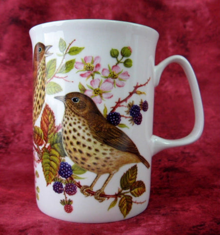 Mug English Thrush English Bone China Birds New Blackberries - Antiques And Teacups - 1