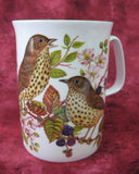 Mug English Thrush English Bone China Birds New Blackberries - Antiques And Teacups - 2