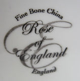 Mug English Thrush English Bone China Birds New Blackberries - Antiques And Teacups - 5