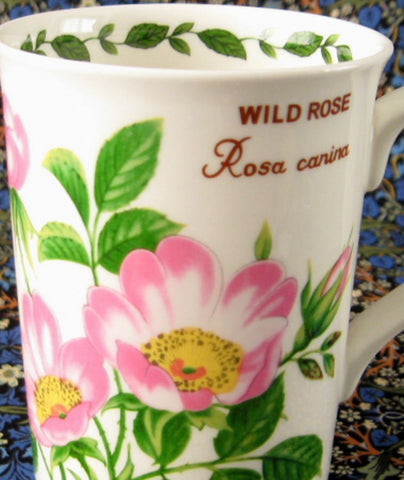Mug Wild Rose Botanical English Bone China Crown Trent Pink Roses - Antiques And Teacups - 1