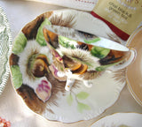 Chestnuts Cup And Saucer Three Feet Hand Painted 1920-1930s Japan - Antiques And Teacups - 2