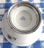 Rosenthal Pine Needles Mayonnaise Sterling Silver Base Pine Cones 1962-1965