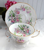Sweet Romance Orchids Roslyn Cup And Saucer Pink Ochids Blue Bows 1950s Romantic Love Token