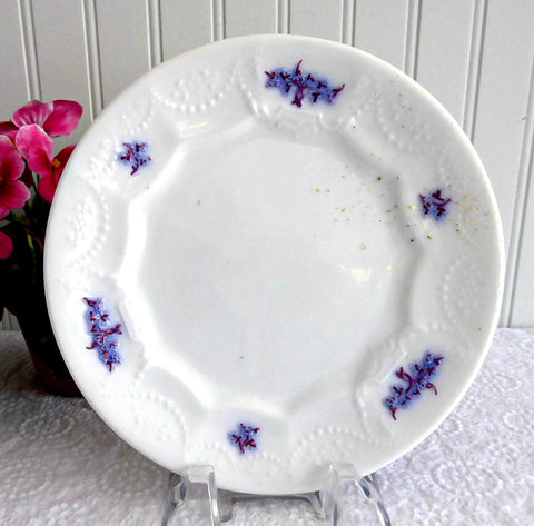 Copper Luster Plate Blue Chelsea Grape Grandmothers 1870s Chelsea Sprig Victorian