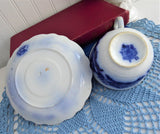 Antique Flow Blue Transferware Cup And Saucer 1880s Booths Alaska England