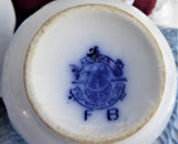 Antique Flow Blue Transferware Cup And Saucer 1880s Booths Alaska England