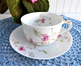 Haviland Limoges Cup And Saucer Antique French 1880s Schleiger 54 Pink Floral